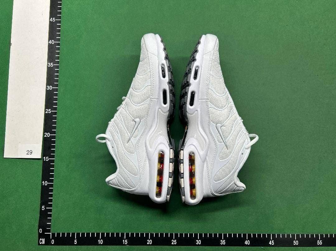  TN  Batch  NIKE Air Max Plus -1