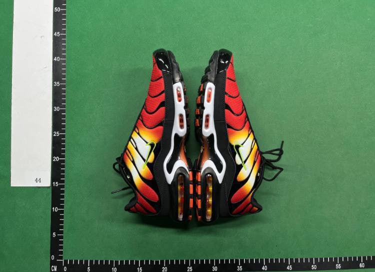 TN Batch  Nike Air Max  plus -1